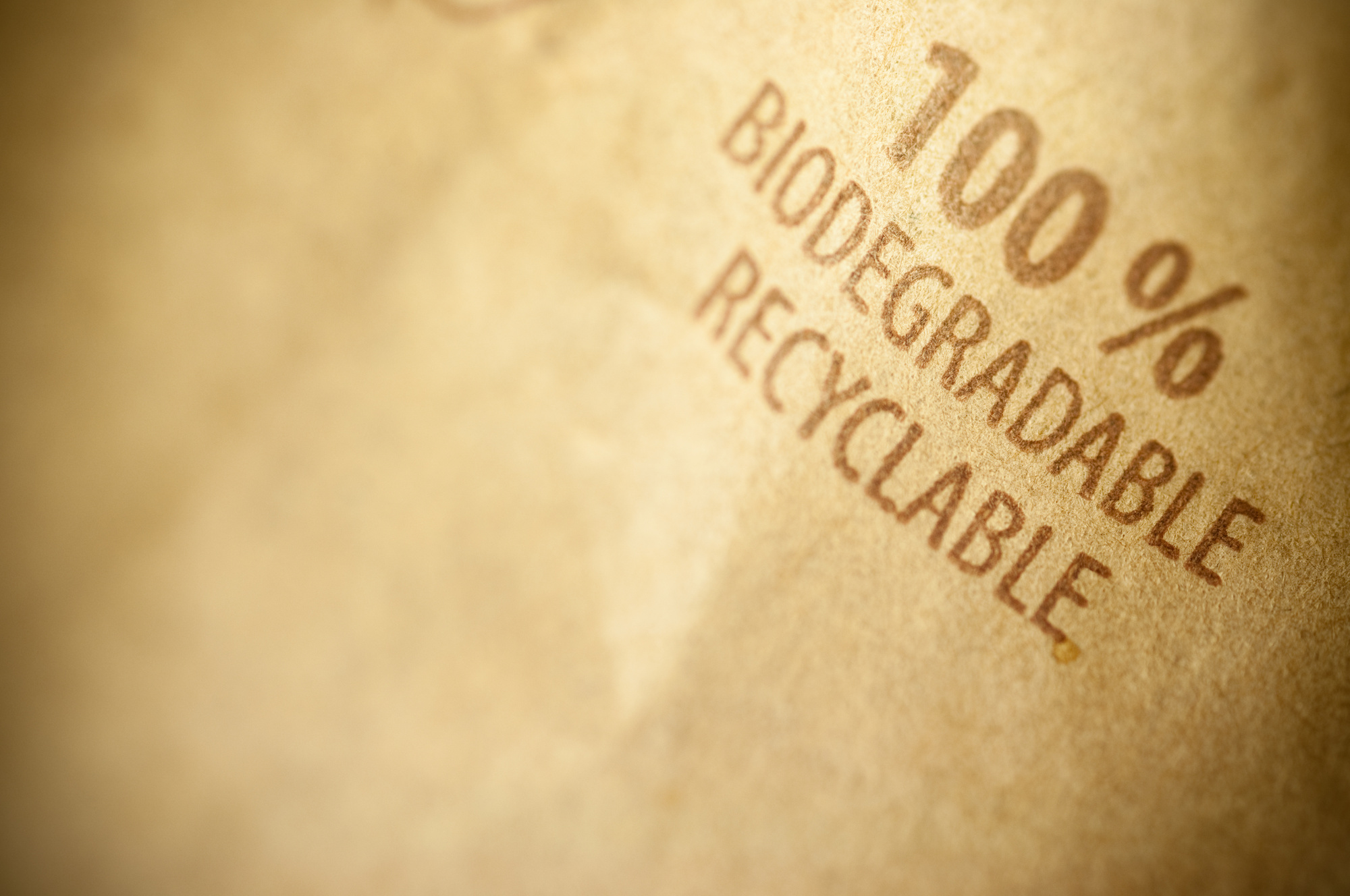 biodegradable polymer